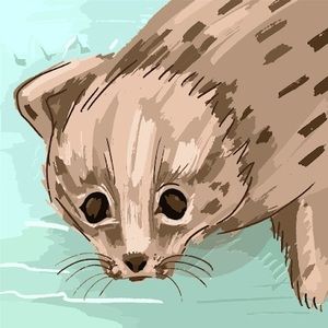 Meet your Posher, Maressa